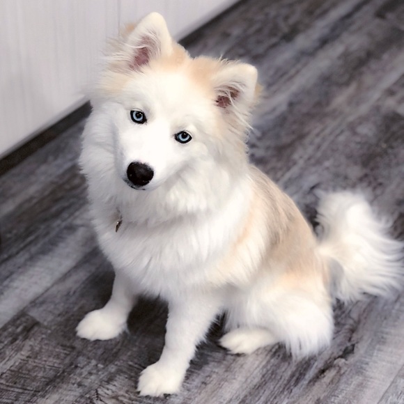 Meet your Posher, Nicole - Picture 4 of 7